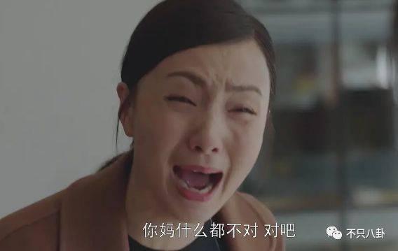 小欢喜刘静第一集开的车什么牌子（小欢喜中温柔的刘静阿姨）(18)