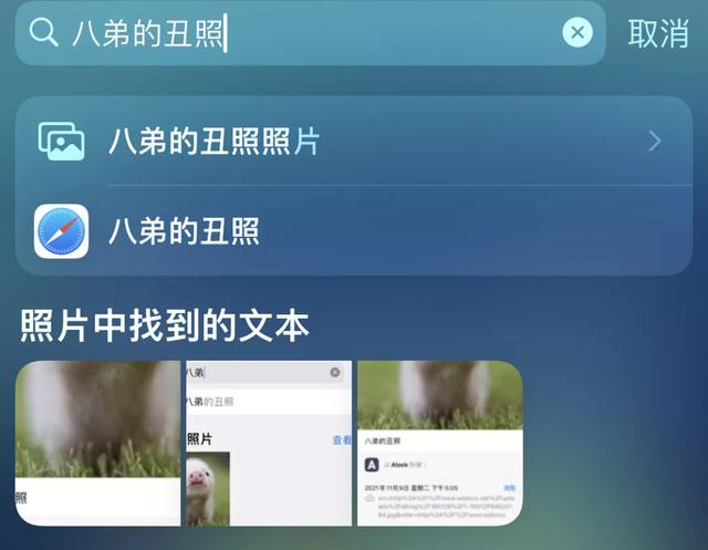 用了5年iPhone，才知道「相册」能这样玩