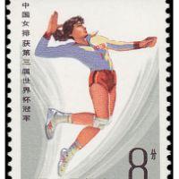 小顺爱女排