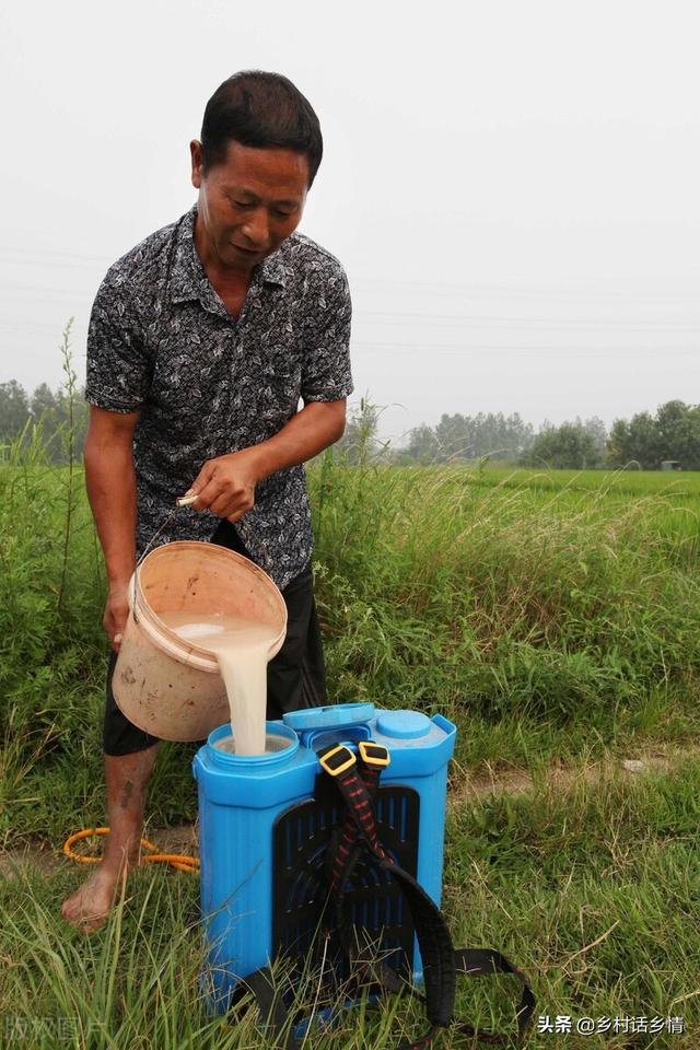 别再给蔬菜喷药了，自制无公害农药，防治病虫害效果真就不错7