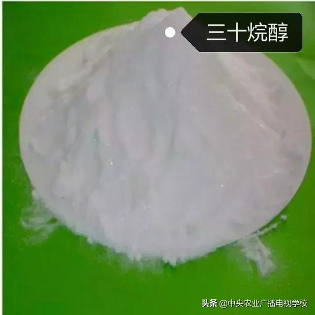 【实用技术】简单易懂的小知识：三十烷醇适用于哪些农作物？应该如何使用？