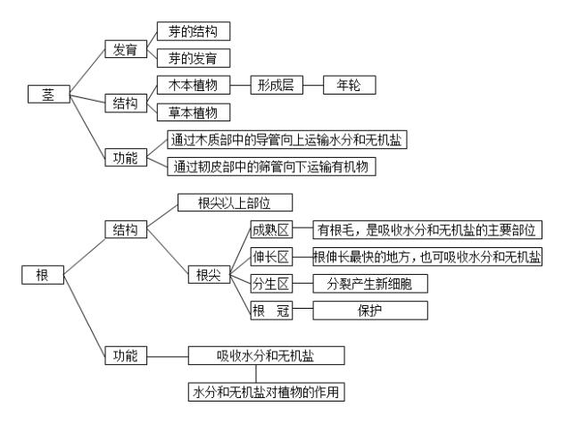 初中各科思维导图全汇总（语文、数学、地理、历史、化学、生物）