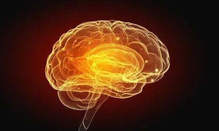 ​它们是大脑健康“两大杀手”，生活中常喝两种饮料可起预防作用