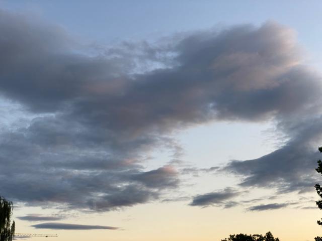 意不意外? 华为P50 Pro首测2: 网友要求再拍10组对比, 逼出它影像极限