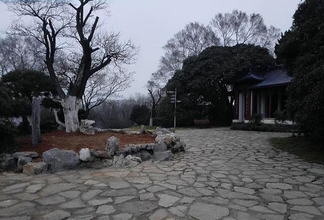 1946年蒋介石密令炸掉汪精卫墓，开棺尸体未腐，口袋有张3寸纸条