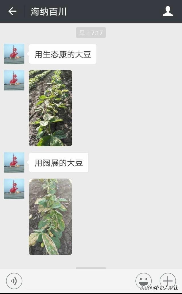 除草剂药害别着急，教你一个缓解的小秘密7