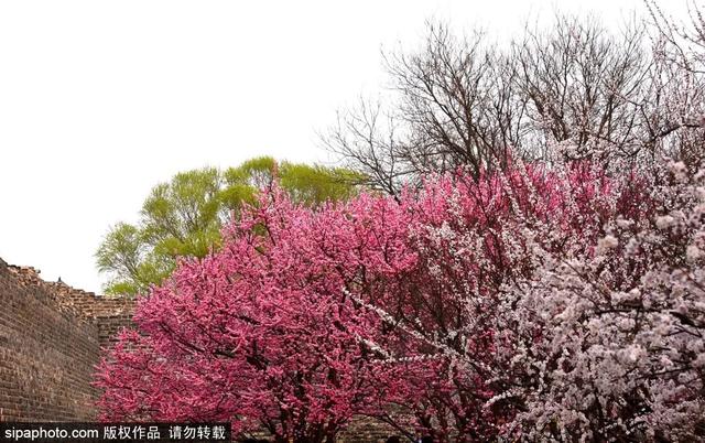 北京清明去哪玩