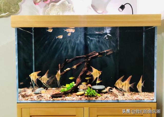 二合一过滤机耐用吗