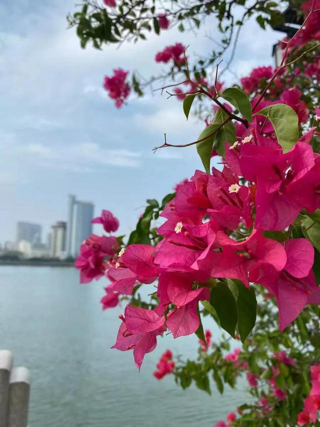 发育迟缓孩子的十年——孕期的反思