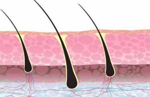 使用身体乳会长汗毛吗