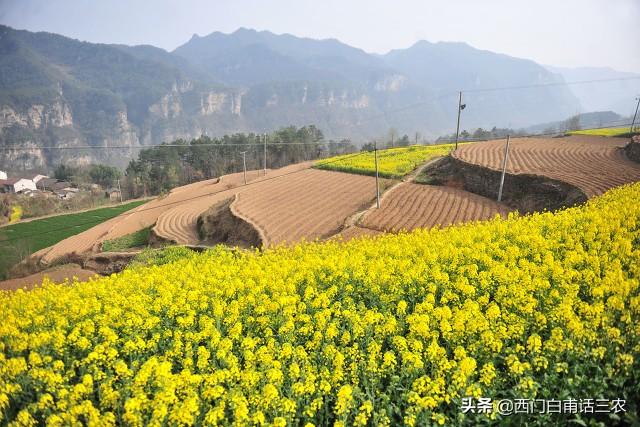 中国18亿亩耕地，维持每年6.5亿吨粮食产量，需要多少种地农民？