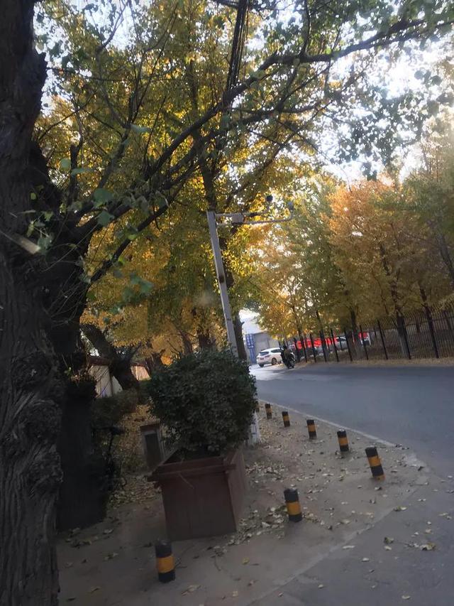 文章图片7