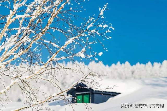 咏雪的古诗文