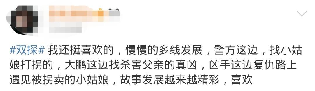 《双探》首播口碑炸裂，清一色的五星好评，段奕宏大鹏飙戏太精彩
