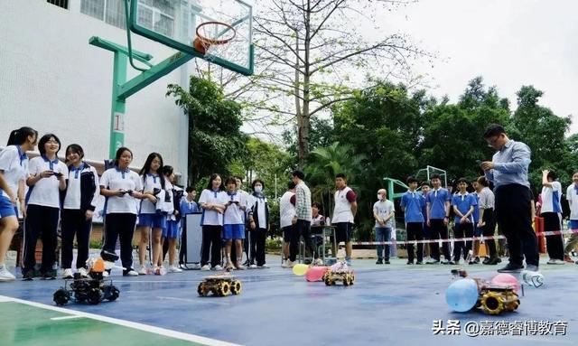 深圳大厂妈妈带娃实录：上菜小、全寄宿、不培训...