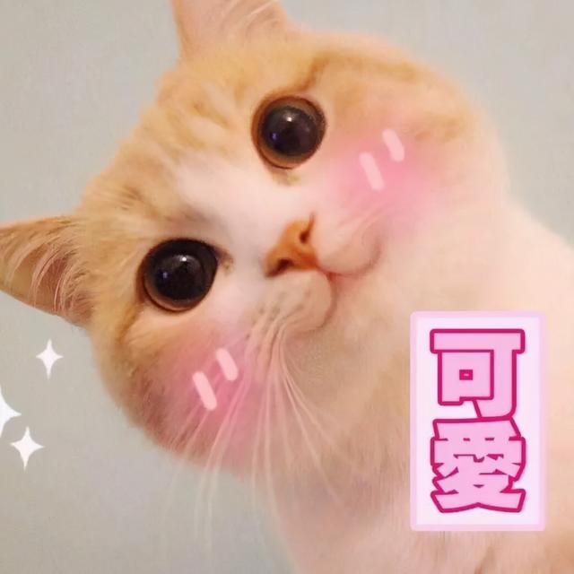 吉扣吉扣身体乳