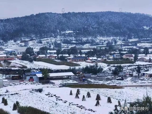 棱光丨杂谈丨当孩子已经长大