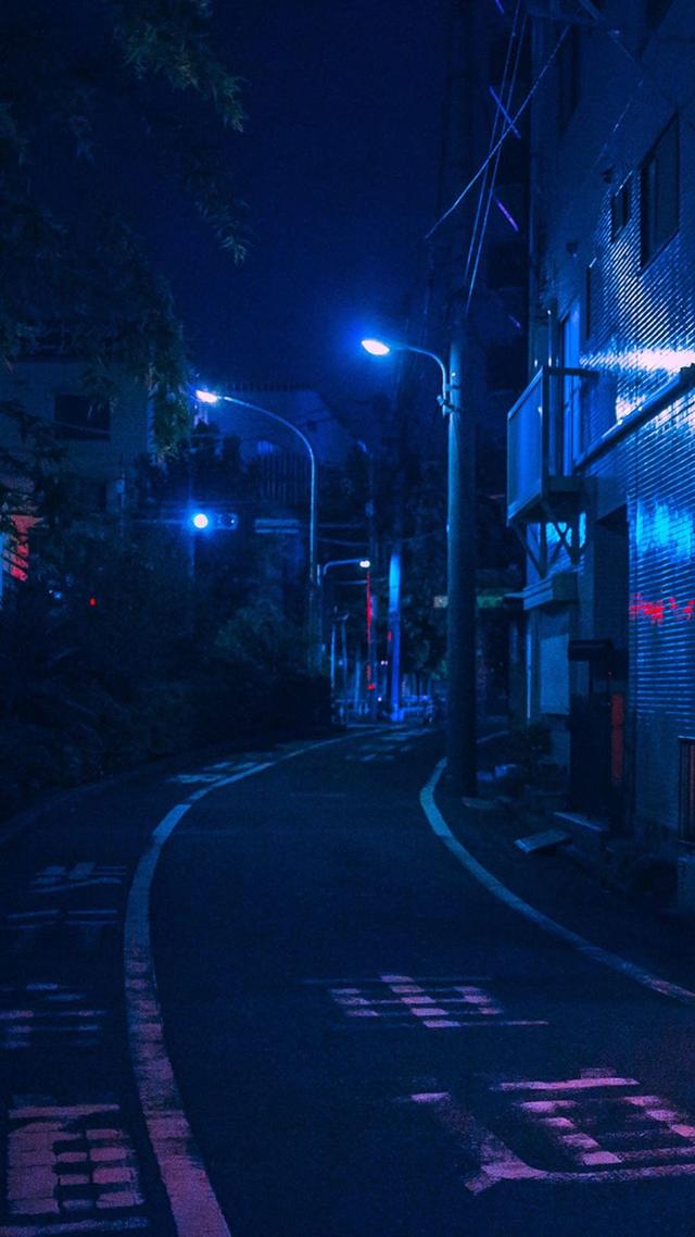 抖音很火的猫壁纸抖音网红星狗壁纸