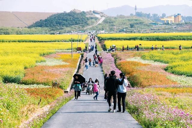 深圳旅游景区