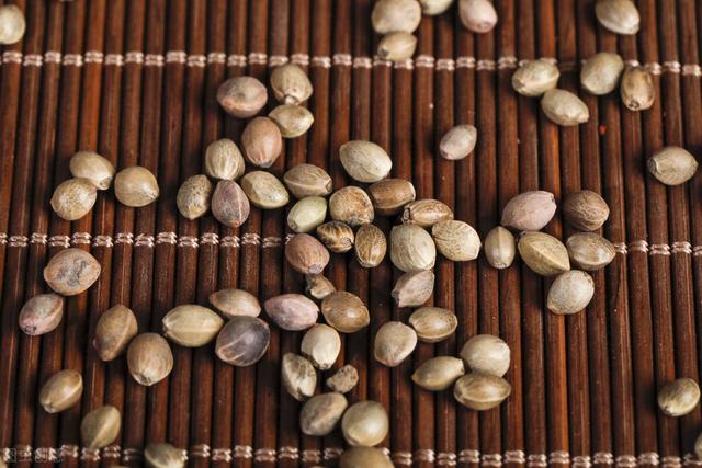 麦冬，心脏"强心剂"，与六味药合用，养心安神，提高心肺功能