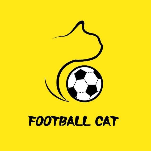 侃球猫