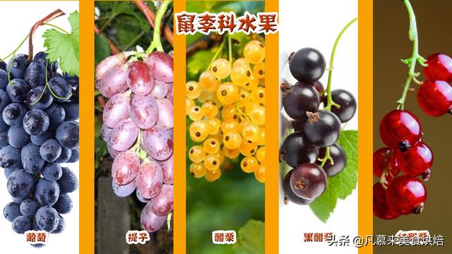 水果有哪些 水果有哪些（水果有哪些形状） 生活