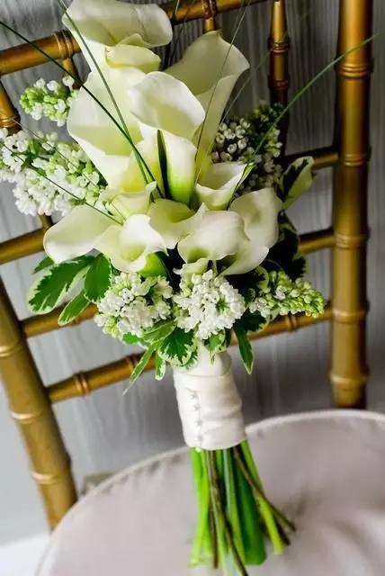 马蹄莲花语 马蹄莲花语（马蹄莲花语象征与寓意） 生活