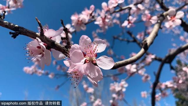 北京清明去哪玩