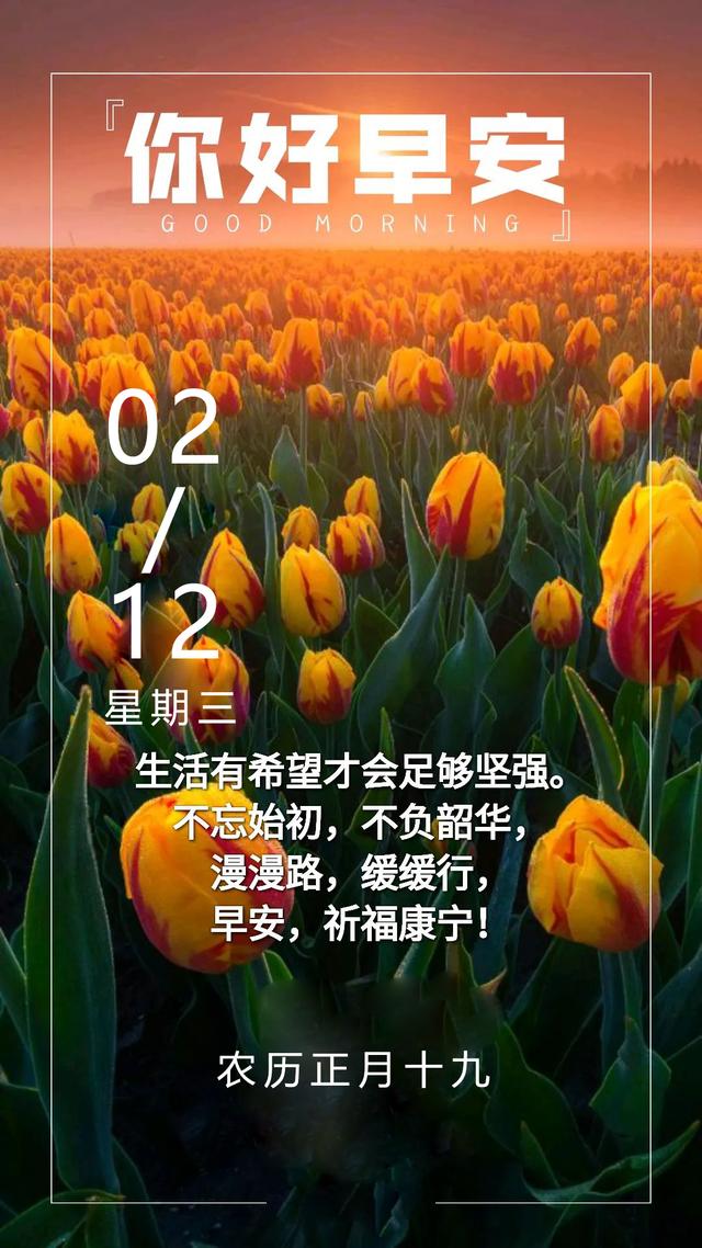 2月12日早安日签图片带文字：风生水起，拼尽全力