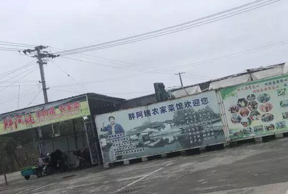 上海周邊農家樂(上海周邊農家樂二日游)