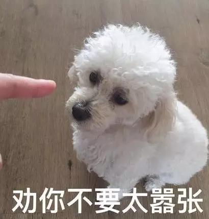 你想当网络写手吗？这边看！1