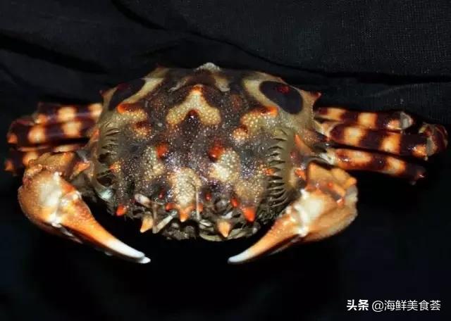 海鲜种类