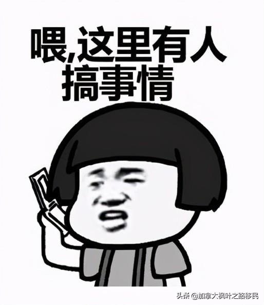 移民加拿大要求有多严格_加拿大移民有什么要求_移民加拿大要求有哪些