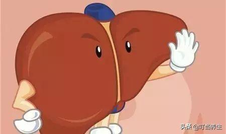 您的心脏怎么样？中医陪你了解自己的心脏