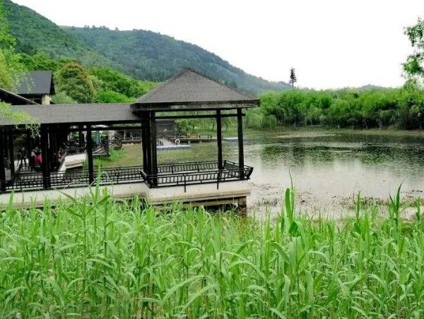 江苏新整几个森林公园（江苏巨无霸公园走红）(1)