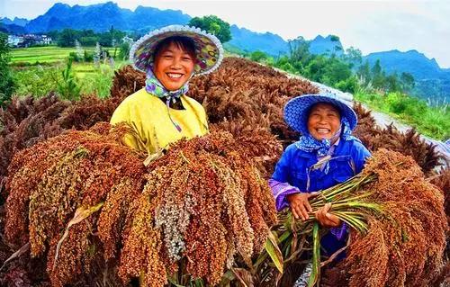 散文：走进秋天