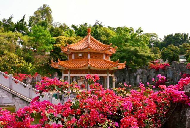 深圳机械展可以带小孩