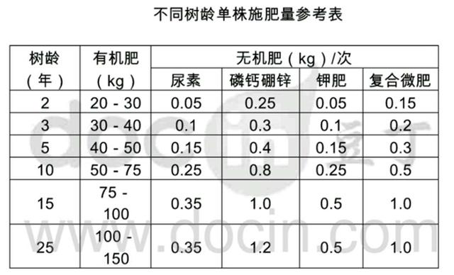 柿树栽培技术｜柿树的施肥管理3