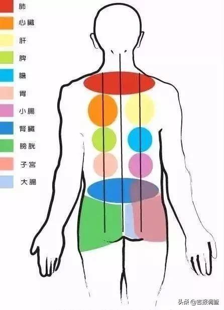 中医专家亮出绝活：看一眼您的“背”就能知道您得了什么“病”