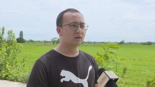 江西秸秆破碎机
