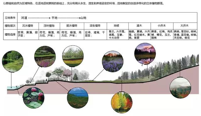 园林式工业园区规划图
