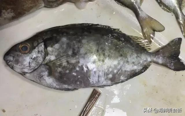 海鲜种类