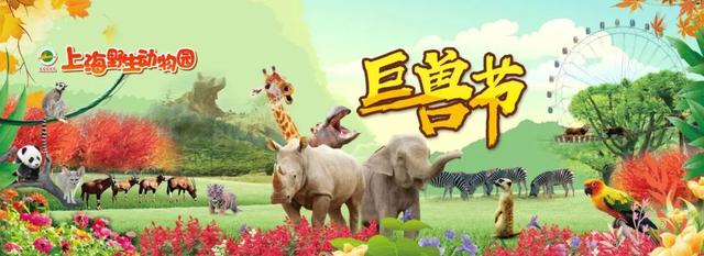 上海有什么好玩的地方适合小孩子(上海风景好的地方有哪些)