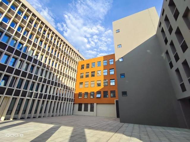 曲屏手机用腻了，快来考虑一下这些直屏好物吧