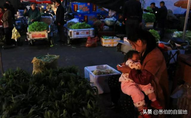 73岁买一个鲤鱼怎么办