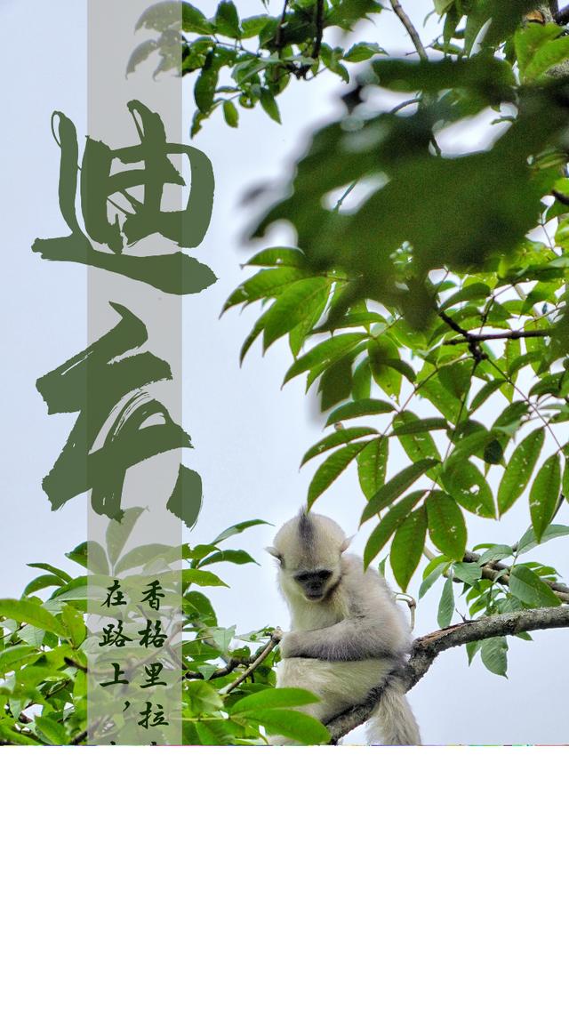 云南曲靖石榴石矿制砂机