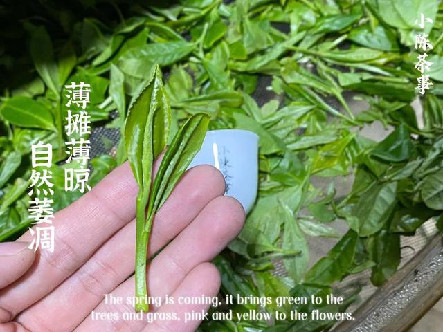 立夏洗砂机