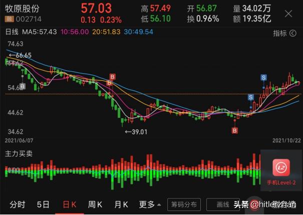 猪王之王，价值几何——牧原股份投资日记2021年10月（后篇）