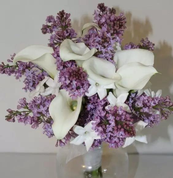 马蹄莲花语 马蹄莲花语（马蹄莲花语象征与寓意） 生活