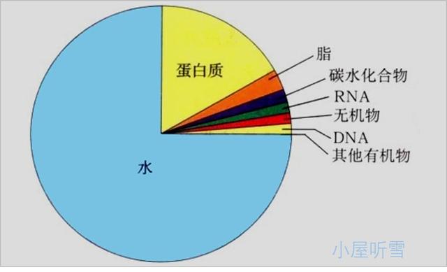 双缩脲试剂检测蛋白质原理